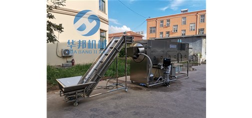 核桃仁怎么去皮 節(jié)水節(jié)能【核桃仁去皮機】華邦廠家直銷