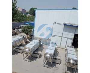 核桃仁去皮機(jī) 華邦機(jī)械1人工操作