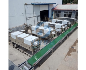 省時核桃仁去皮機(jī) 華邦機(jī)械