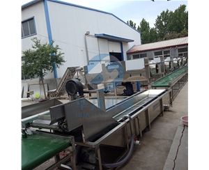 核桃仁去皮機 華邦機械去皮原理