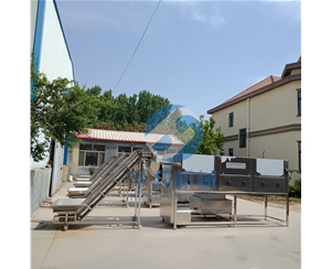 核桃仁去皮機(jī) 廠家直銷