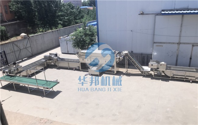 提供工藝 核桃仁脫衣機