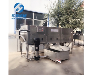 核桃仁去皮機(jī) 清水核桃仁脫衣機(jī) 綠色無污染