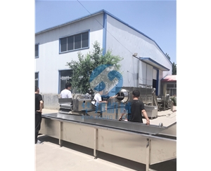 全程智能觸屏操作核桃仁去皮流水線 去皮機(jī)