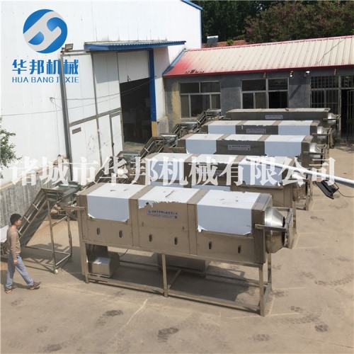 核桃仁去皮機 華邦機械現(xiàn)機考察