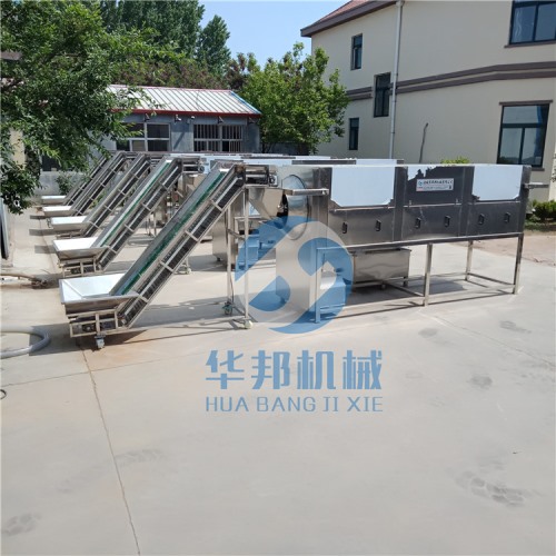 2019新型核桃仁去皮機 核桃乳前處理設備