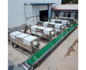 核桃仁脫皮機(jī) 視頻