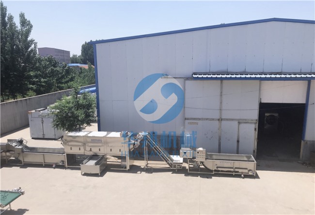 核桃仁加工設(shè)備流水線 華邦機械脫衣核桃設(shè)備