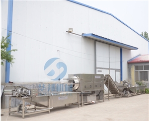 全自動核桃仁脫衣機(jī) 1人操作