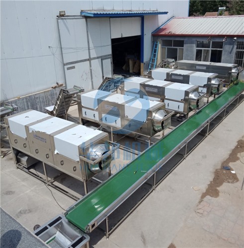 新早豐新疆核桃仁去皮機(jī) 價(jià)格視頻