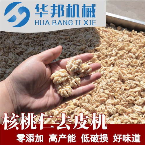 核桃仁去皮機 制作核桃粉需求設備 核桃仁脫皮機