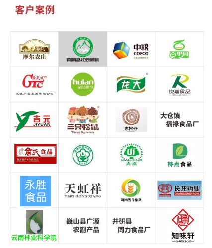 免費(fèi)上門安裝 核桃仁去皮機(jī)