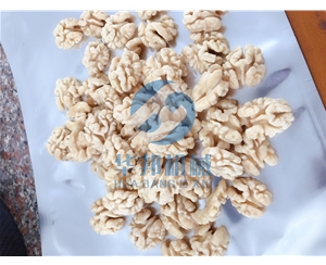 省200人工 核桃仁脫皮機(jī)