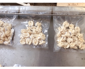 壓力可調清水核桃仁脫皮機 核桃仁去皮設備