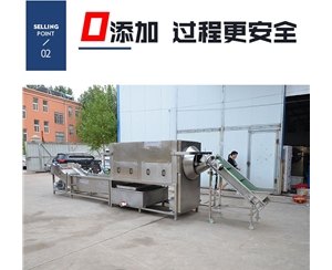 全自動 核桃仁去皮機(jī)