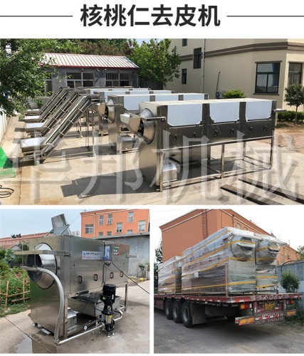 核桃仁去皮機 品種無限制