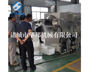 核桃仁打濕去皮 核桃仁去皮機 去衣設備廠