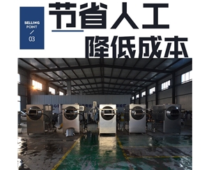 新二核桃仁去皮機 規(guī)格齊全