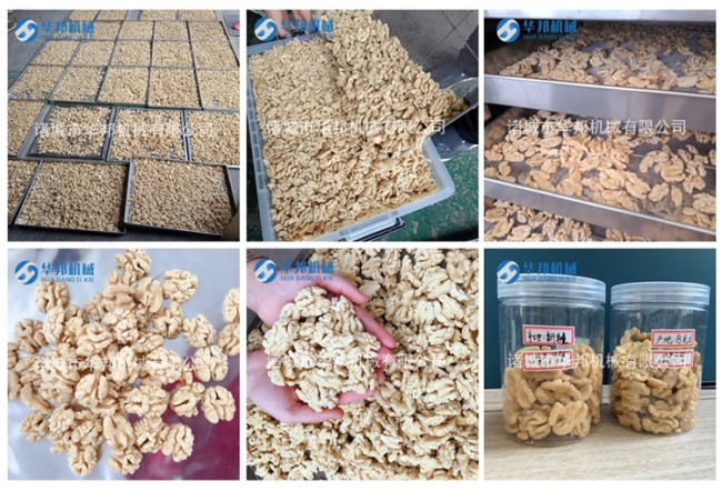 精工制作核桃仁去皮機 華邦去皮機原理