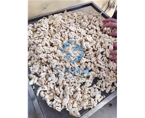 省人工 核桃仁去皮機