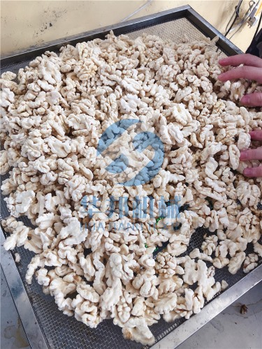 不加藥水 核桃仁脫皮機