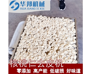 754凈水核桃仁去皮機(jī) 自來(lái)水去皮