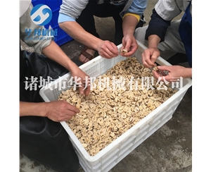 一級(jí)核桃仁去衣機(jī)