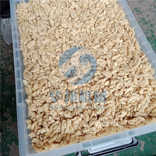 頭路核桃去皮機 2019加大尺寸