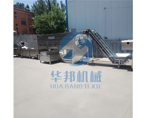 核桃仁去皮機(jī) 核桃仁脫衣流水線