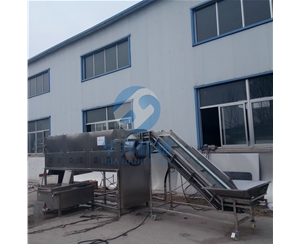 日產(chǎn)1-20噸 大型核桃仁去皮機(jī)