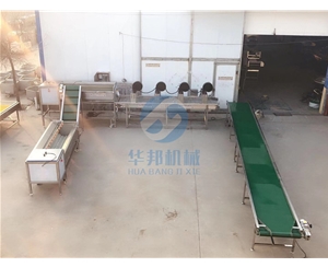 紅薯清洗機(jī) 紅薯清洗機(jī)廠家