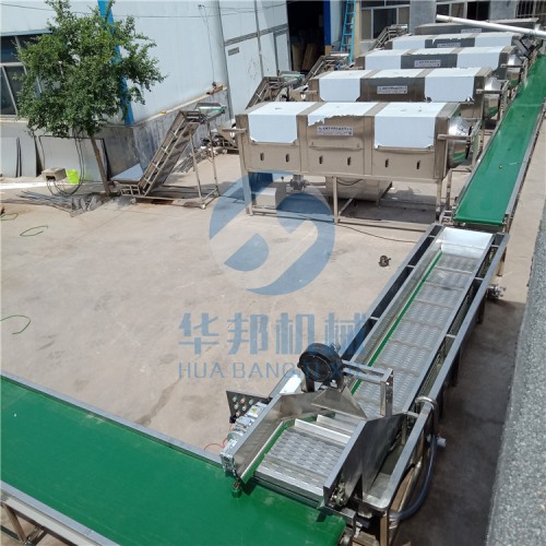 核桃仁去皮機(jī) 大型核桃仁脫衣生產(chǎn)線(xiàn)