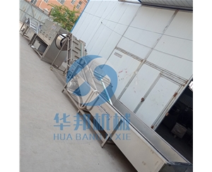 【省人工】核桃仁脫衣生產(chǎn)線 核桃仁去皮機(jī)