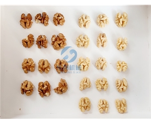 自動款 核桃仁去皮機(jī)