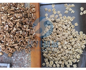 大型純物理核桃仁去皮機 華邦機械濃郁去皮設(shè)備