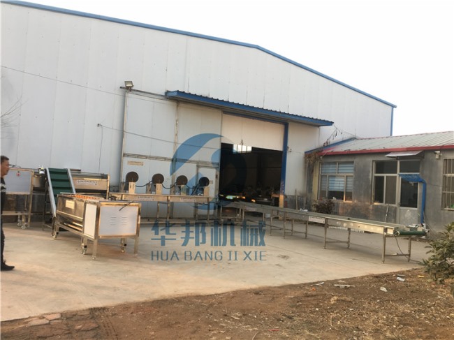 紅薯清洗機 廣西定制紅薯清洗流水線 供應現貨