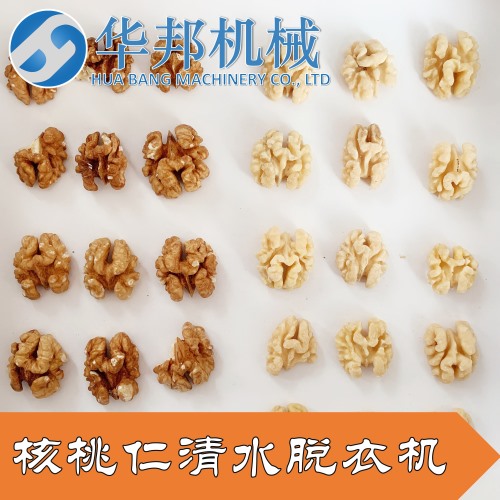 多型號(hào) 核桃仁脫皮機(jī)