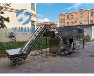 現(xiàn)貨 核桃仁去皮機(jī) 免費(fèi)設(shè)計(jì)核桃仁去皮流水線