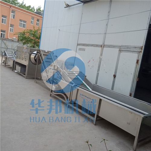 核桃仁脫衣生產(chǎn)線 核桃仁去皮機