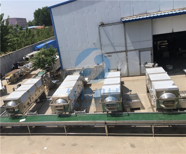 【華邦機械】核桃仁去皮機 核桃仁脫衣機 專利產(chǎn)品