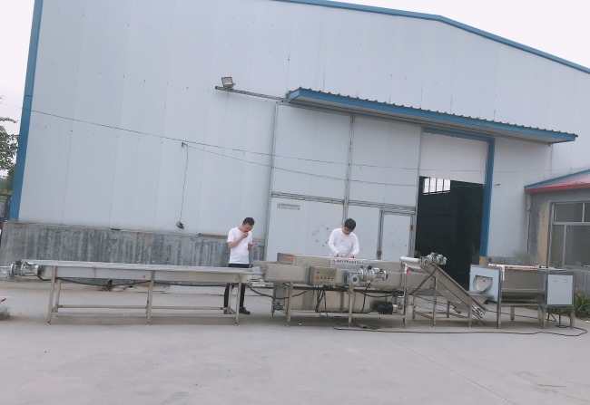 華邦批量定制紅薯清洗機 供應(yīng)紅薯清洗生產(chǎn)線