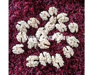 脫皮去澀核桃仁去衣機(jī) 直銷(xiāo)去皮機(jī) 華邦推薦