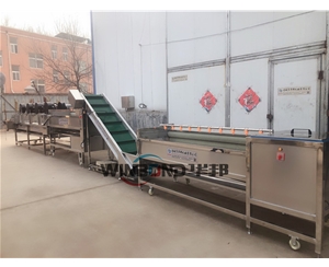 現(xiàn)場試機 紅薯清洗機 紅薯清洗風(fēng)干流水線