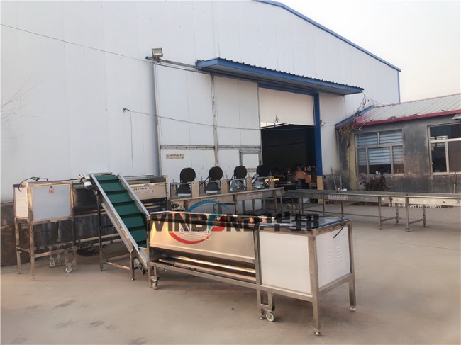 現(xiàn)貨銷售洗薯機 全自動番薯清洗生產(chǎn)線 全國包郵