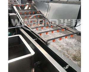 菌菇去雜清洗機 循環(huán)過濾 金針菇清洗設備