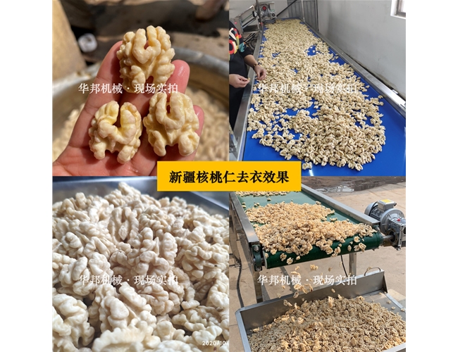 新疆核桃仁去皮機 任意品種核桃仁去皮設備 華邦堅果仁去皮機