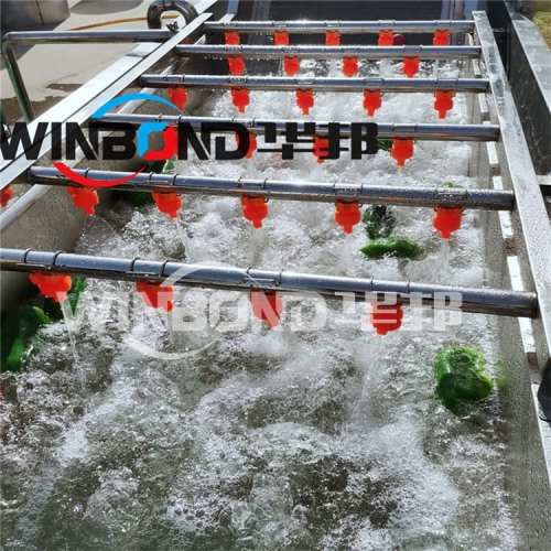 辣椒清洗機 小米辣椒清洗設(shè)備 氣泡式辣椒清洗機廠家