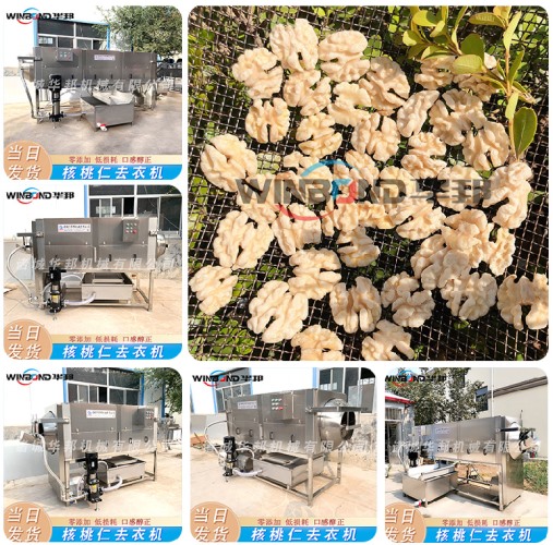 現(xiàn)貨直發(fā)核桃仁去衣機 全自動 去衣機設(shè)備
